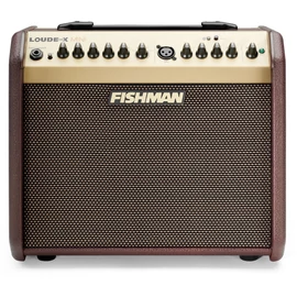 Fishman Loudbox Mini Bluetooth Akusztikus gitárkombók