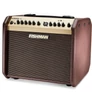 Kép 5/6 - Fishman Loudbox Mini Bluetooth Akusztikus gitárkombók