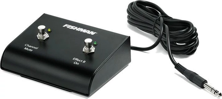 Fishman Dual Footswitch